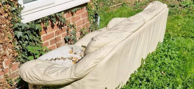 SM Removals garden waste clearance UK before